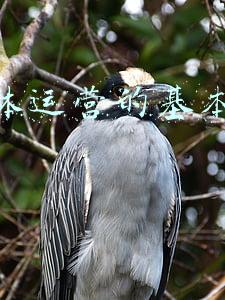 新媒体传播的基本原则(新征程上勇毅笃行)