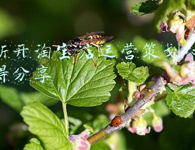 新开的淘宝店怎么推广(淘宝新店如何起流量？这些基础你要先学会)