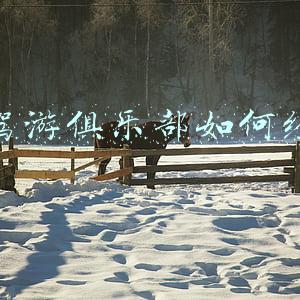 南宁自驾游俱乐部《南宁自驾游俱乐部排名》