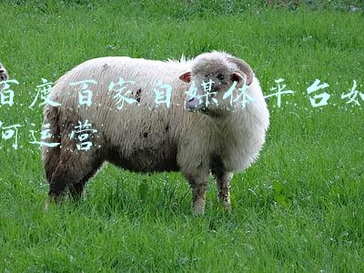 百度百家自媒体平台(中国生物技术网喜提百度百家号“2021年度最具影响力政务新媒体”称号)