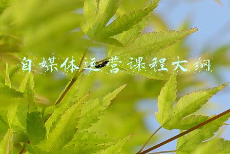 自媒体运营计划书(新年自律计划清单来了！用一年时间狠狠地改变自己)