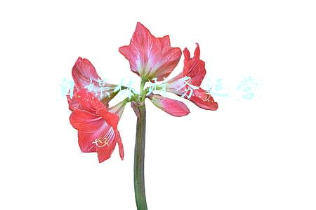 新媒体运营财务分析(2021年3季度国内外酒店集团财务分析报告)