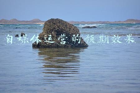 公众号运营预期效果(如何增加微信公众号粉丝量？)