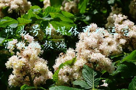 网易号自媒体平台登录(元宇宙炼金术｜基础平台？场景搭建？国内互联网巨头如何布局)