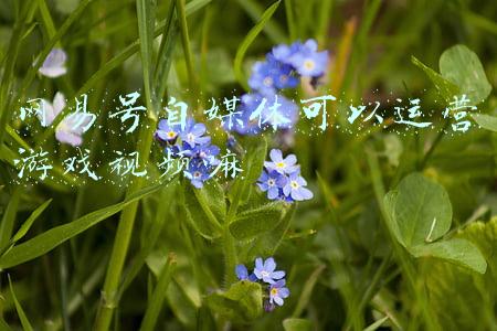 网易媒体号(网易自媒体一天收入是多少，网易号收益稳定吗？)