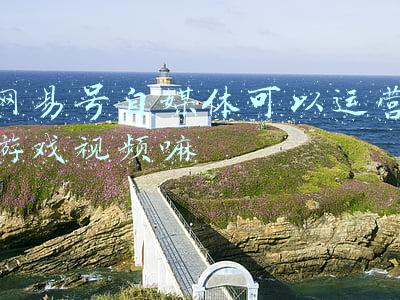 网易号媒体平台注册(关于几个文字类自媒体的个人初步应用体验)