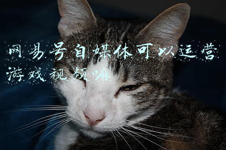 网易号媒体平台官网(推荐8个有收益的自媒体平台)