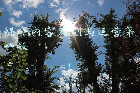 媒介经营与管理相关书籍(一文了解新闻传播学，你想知道的都在这里)