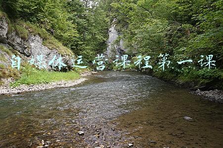 自媒体实操课(型男：如何打造一个好的IP？坐拥114万粉丝，自媒体实操经验分享)