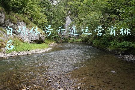 自媒体号开通运营商排名
