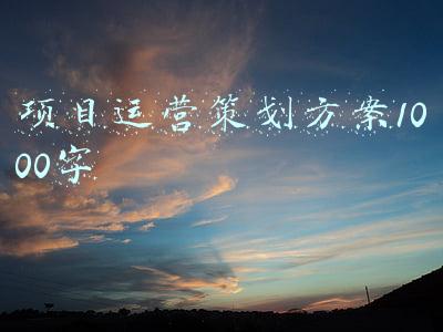 项目运营策划方案1000字