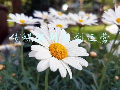 传媒公司创业策划书(传媒公司是做什么的？)