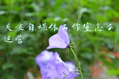 食摄集美食摄影工作室(深度剖析 | 商业食物拍摄之吸睛大法)