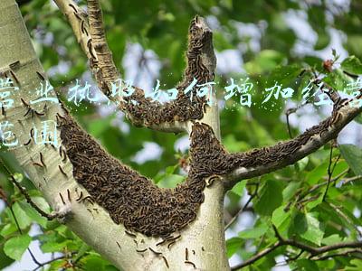营业执照 经营范围(办理美容美体的营业执照 经营范围)
