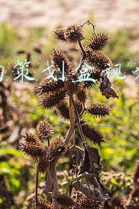 抖音视频内容策划(抖音如何策划出大家喜爱的内容？免费教你正确的方法论！)