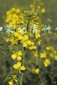 策划职称(2022年评职称的请注意！具体请参考2021年度职称申报工作时间安排)