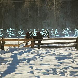 淘宝家电(把淘宝“买崩了”！“双11”国货产品、中高端家电大受欢迎，上海、北京、济南用户手速最快)