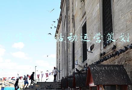 淘宝大家电类目(小家电跨境电商提速：一年疯涨超10倍)
