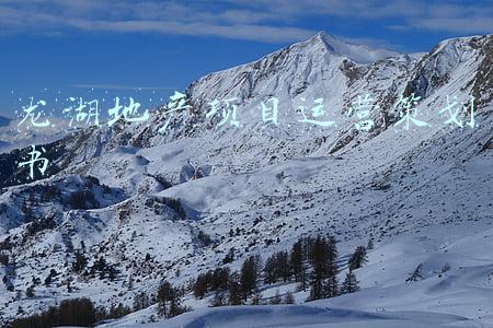 龙湖地产营销(龙湖的新千亿野心：谋下半场运营之王)