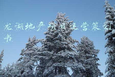 龙湖地产营销策略分析(龙湖算是一个玩营销的开发商吗？)