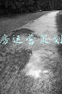 健身房运营策划流程