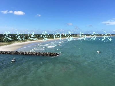 策划运营内容与方式