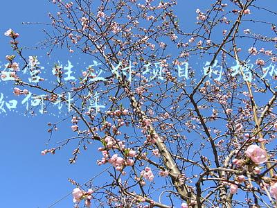 经营性融资项目立项申请经公司审批后-经营性融资项目