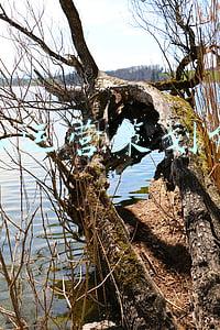 基本运营策划能力 基本运营策划能力