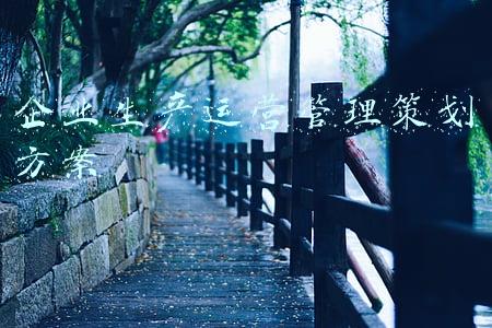 企业生产运营管理策划方案