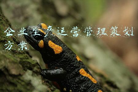 企业生产运营管理策划方案