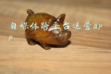 自媒体跨平台运营app