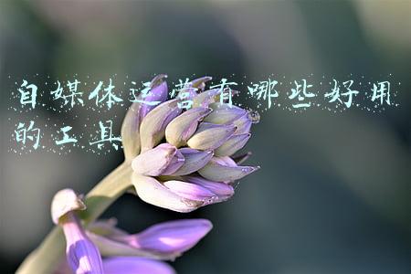 自媒体运营有哪些好用的工具