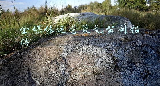全媒体运营策划公司招聘