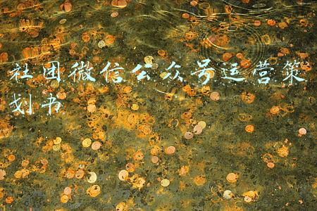 社团微信公众号运营策划书