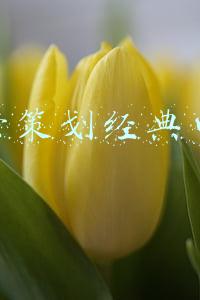 运营策划经理岗位职责和任职要求(婚礼堂招聘：格乐利雅9大管理岗，等你来)