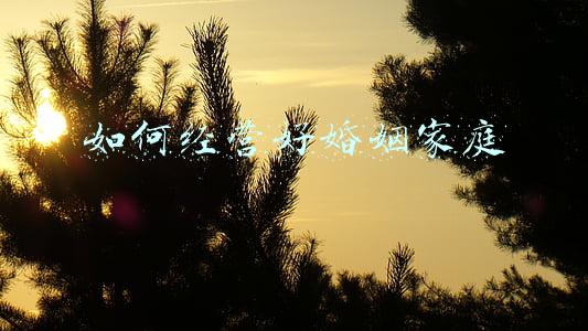 如何经营婚姻和家庭(怎么经营家庭和婚姻)