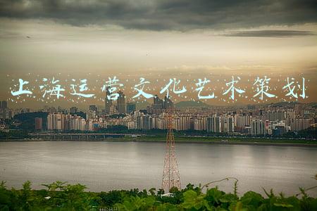 上海运营文化艺术策划
