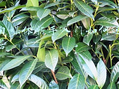 自媒体新手入门软件(推荐2款自媒体人的绝佳工具！零基础学视频剪辑很实用)