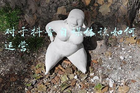 对于抖音自媒体该如何运营