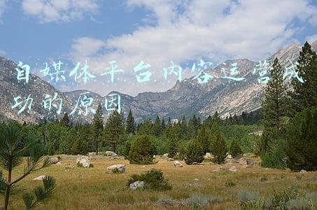 自媒体平台内容运营成功的原因