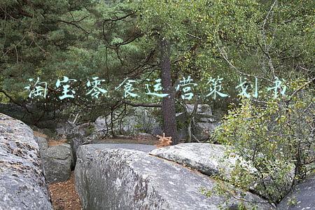 淘宝零食运营策划书