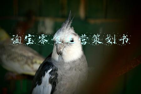 淘宝零食运营策划书