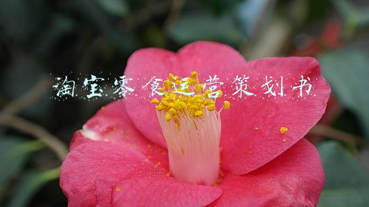 淘宝零食运营策划书