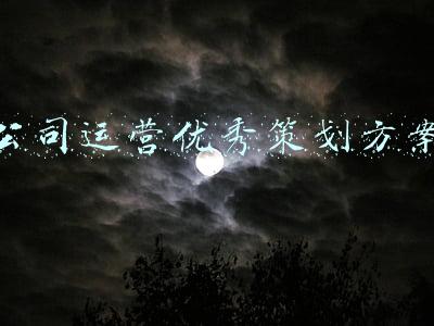 公司运营优秀策划方案