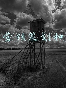 品牌营销策划机构(2021优秀品牌营销咨询公司名单，麦肯锡 中网、奥美、波士顿等上榜)