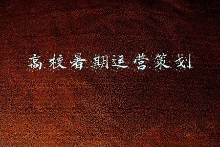 高校暑期运营策划