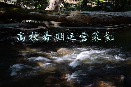 高校暑期运营策划