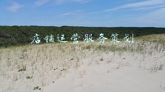 店铺运营服务内容(教你几招让你玩转店铺运营)