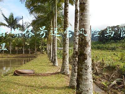 自媒体号运营风险与管理