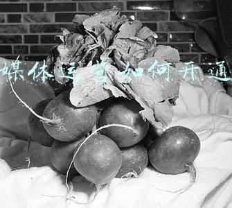 怎么开通自媒体(三分钟教你开通头条号，走上自媒体收益之路，赶紧上车吧)
